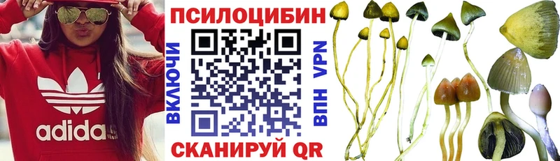 Галлюциногенные грибы мицелий  Ахтырский 
